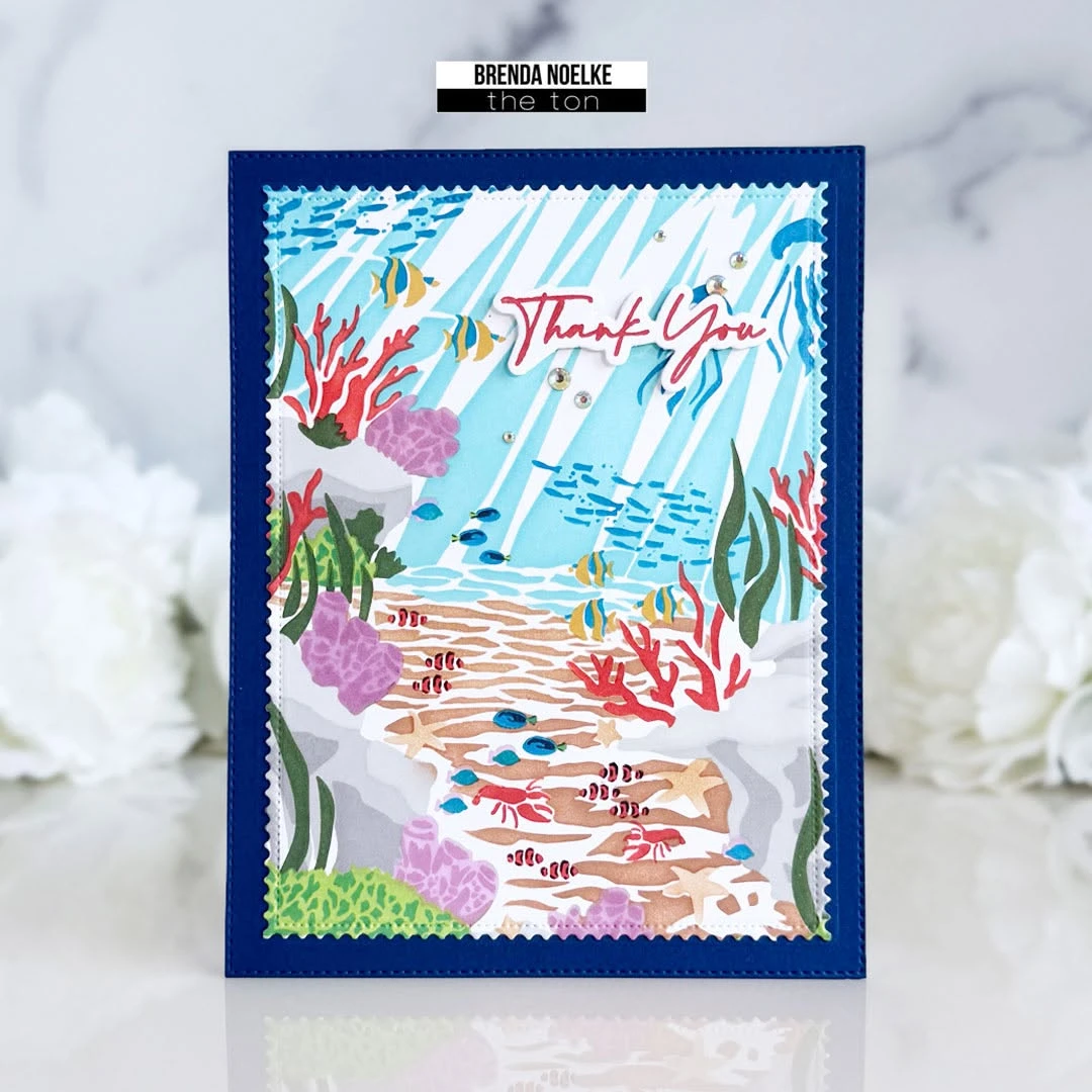 2026년 8월 출시 클레마티스 고양이 여름 바다거북  - Summer Clothing Release 리뷰 및 가격